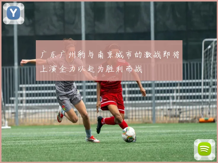 广东广州豹与南京城市的激战即将上演全力以赴为胜利而战