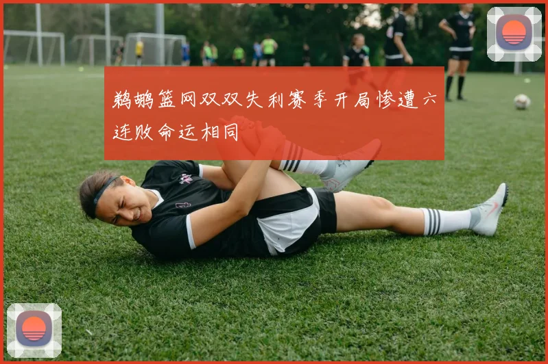 鹈鹕篮网双双失利赛季开局惨遭六连败命运相同